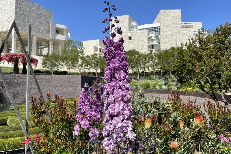 Getty Garden 