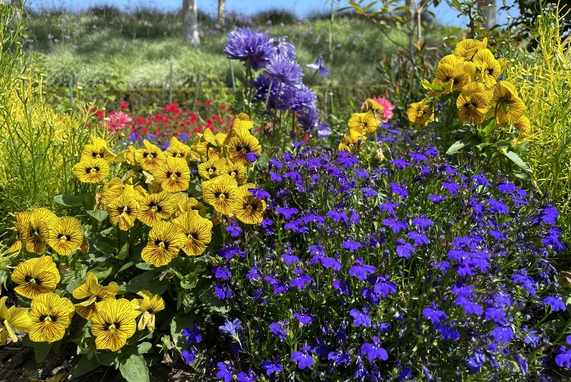 Getty Garden 