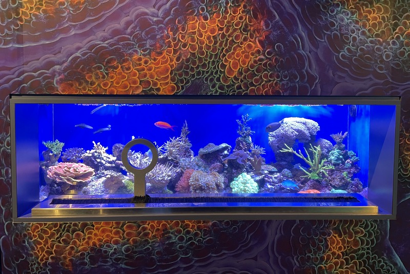 Aquarium of the Pacific Coral Reefs 