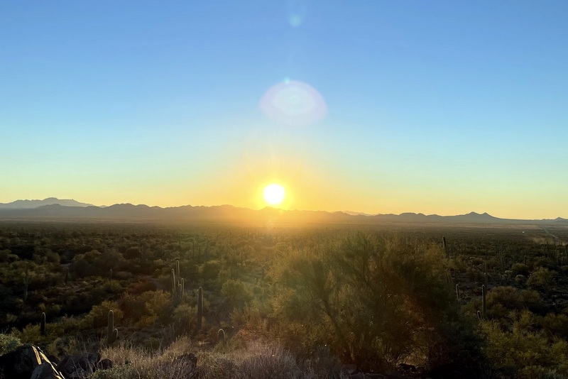 Saguaro National Park 
