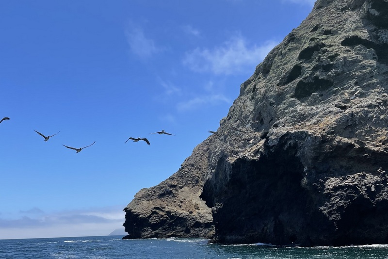 Santa Cruz Island